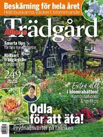 Allers Trädgård